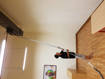 Picture of High rise cleaning, carpet steam sanitation, sanitation of common area (Fumigation), fan cleaning