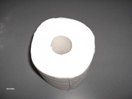 Picture of Plenty Toilet Roll 400 sheets