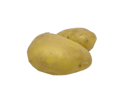 Picture of POTATOES ( BAG ) INDONESIA - 500GM
