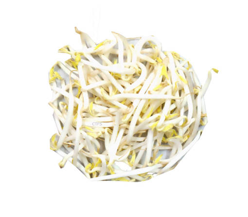 Picture of VEG-BEAN SPROUT (1KG)