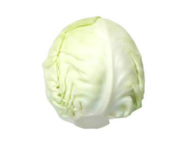 Cabbage Shredded - Best Price in Singapore - Nov 2023