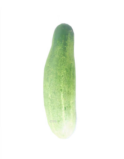 Picture of VEG-CUCUMBER (500G)
