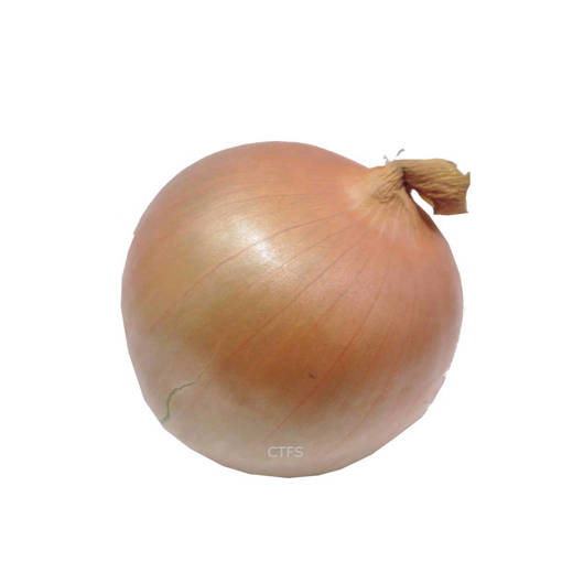 Picture of WHITE ONION (500G)