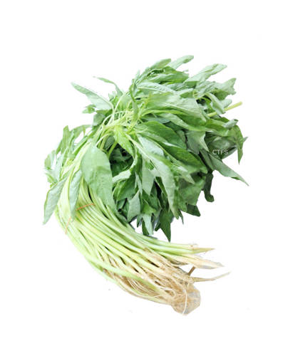 Picture of VEG-SPINACH-HENG CAI (500G)