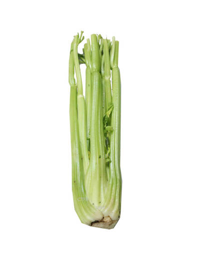 zing celery