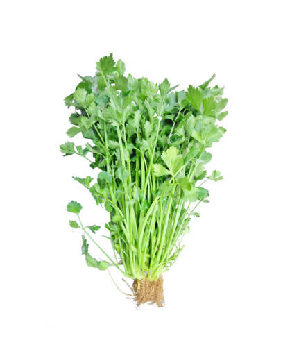 Picture of VEG-CELERY(100G)FRESH-CHINESE