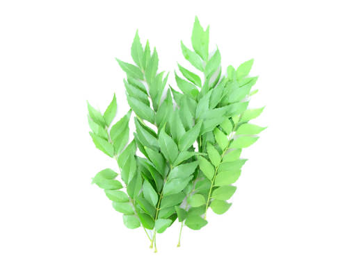 Picture of VEG-CURRY LEAVES (100G)
