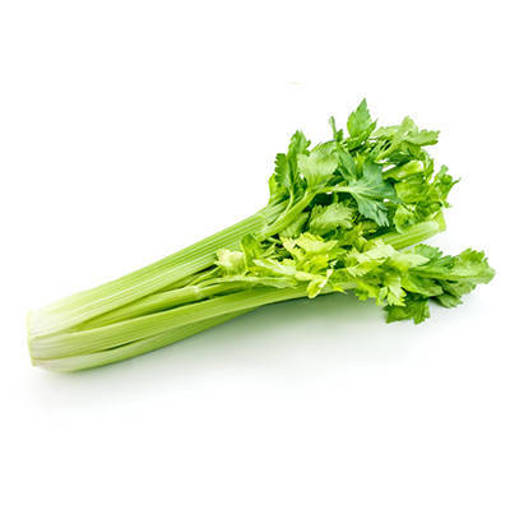 Picture of PM - CELERY IMPORTED (MIN ORDER 1KG)