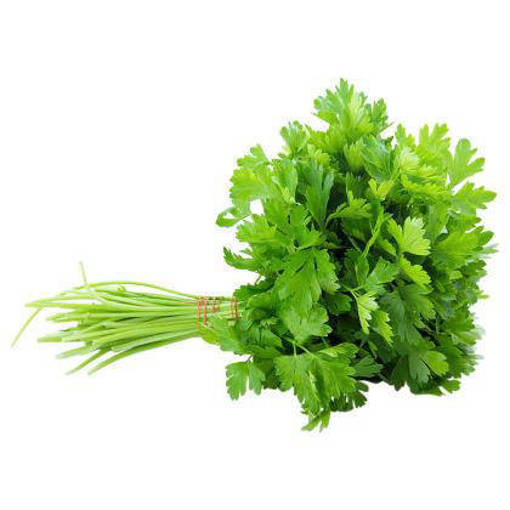 Picture of PM - CORRIANDER LEAVES *CHINESE PARSLEY (50GM PER PKT)