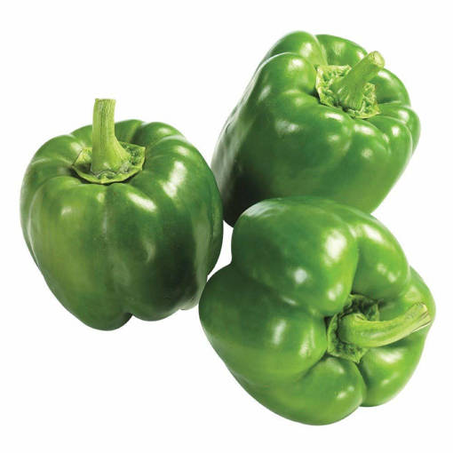 Picture of PM - GREEN CAPSICUM (MIN ORDER 500GM)