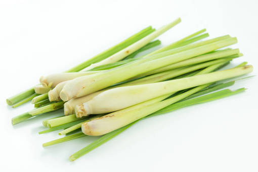 Picture of PM - LEMONGRASS (100G PER PKT)