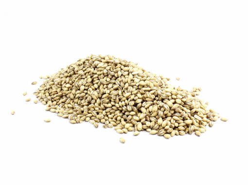 Picture of GB -D- BARLEY PEARL (1 KG PER PKT)