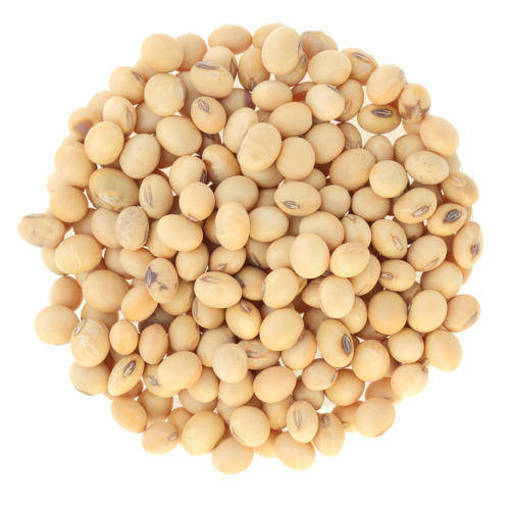 Picture of GB -D- DRIED SOYA BEAN (1KG PER PKT)