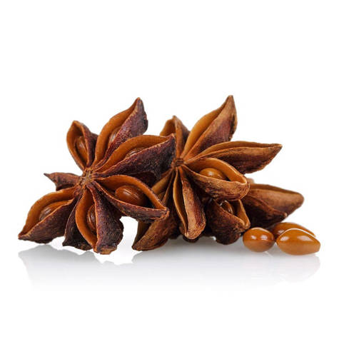 Picture of GB -D- STAR ANISE SEED (250GM PER PKT)