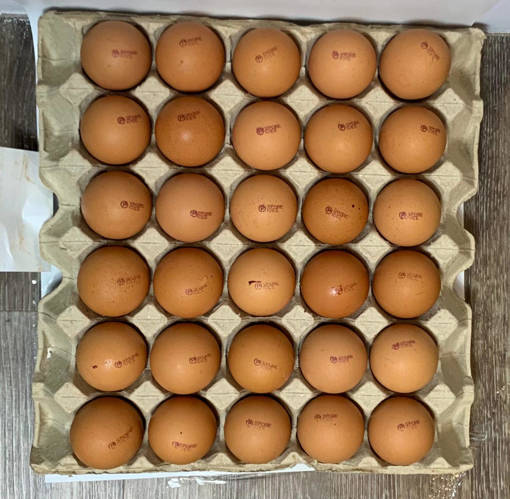Picture of GB -E- LOCAL N & N FRESH PASTEURIZED EGG 60GM (MIN 30 PCS X 1 TRAY)
